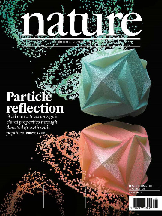 '네이쳐'(Nature, IF 40.137) 표지논문으로 게재된 '거울 대칭상의 금 나노 기하구조' 이미지. 서울대 제공